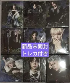 &TEAM Back to life ROAR BtL 新品未開封 9形態セット