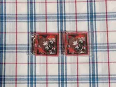 アークナイツ フェス カプセルトイ アクリルキーホルダー イネス