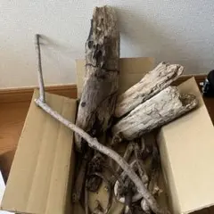 流木素材 複数本 工作用