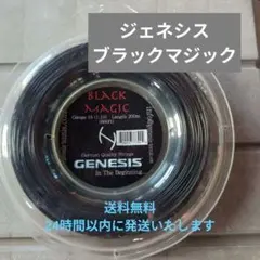 2026年最新】Genesis スポーツの人気アイテム - メルカリ