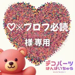 ♡※プロフ必読 様　専用ページ
