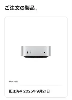Apple Mac mini 256GB SSD 24GBメモリ