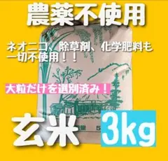 【在庫残りわずか】栽培期間中 農薬不使用 化学肥料不使用 玄米 お米のサムネイル