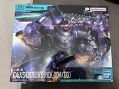 HG リックドム ガイア機/オルテガ機(GQ) ガンダム　ガンプラ