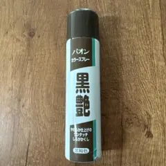 パオン カラースプレー 黒艶 黒褐色 - メルカリ
