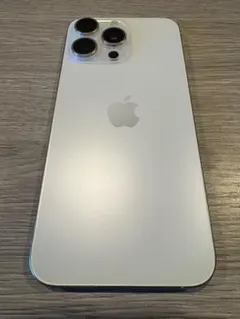 iPhone15 ProMax 256GB