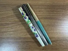 セーラー万年筆/アンコーラ プロフェッショナルギア スチール 八重桜 F