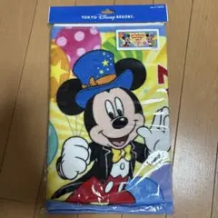 ディズニーリゾート　バースデータオル　フェイスタオル　2022 誕生日　新品