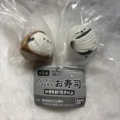 なりきりシマエナガ お寿司 いなり えんがわのサムネイル