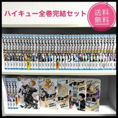 ★ハイキュー!! 全巻（1〜45巻）+オマケ4冊　送料無料　早い物勝ち★