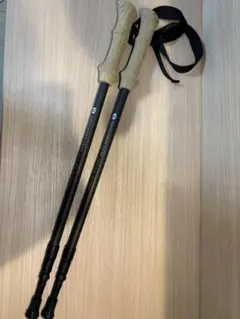 Item thumbnail for item 1b856bda-1eb2-4969-be17-1a83b069c7b7