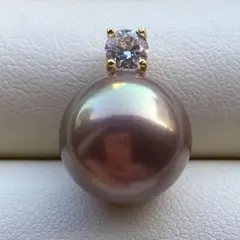 みいる様　ご確認専用ページ250317