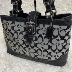 COACH トートバッグ ソーホー キャンバス スエード レザー 黒 A4