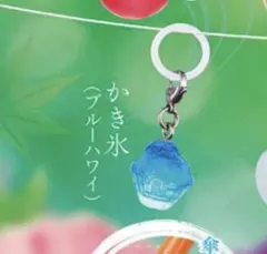 ガチャガチャ　涼を感じるめじるしアクセサリー