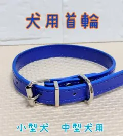 Item thumbnail for item 0ad14bc9-e12b-407f-8d6e-1e64905f685b