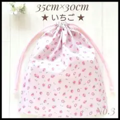 Item thumbnail for item 5e684a69-d872-4189-87a8-24fa9d56793c