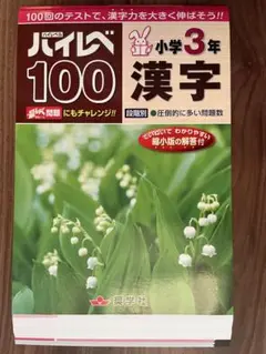 ハイレベ100