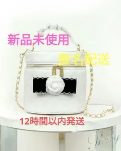 rady リボンコサージュバニティバッグ フリーサイズのサムネイル