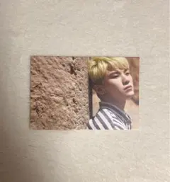 SEVENTEEN セブチ ウジ ポスカ