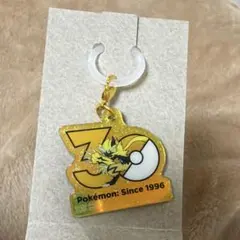 ポケモン　30周年記念 ロゴマスコットチャーム　ゼラオラ