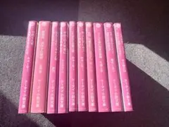 野いちご文庫 恋愛小説 10冊セット