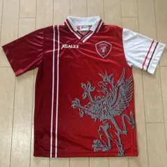 中田英寿 ペルージャ イタリア製ユニフォーム サッカー セリエA 6/8