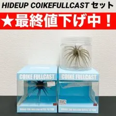 2026年最新】ハイドアップ コイケフルキャストの人気アイテム - メルカリ