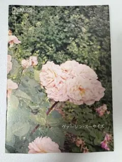 映画 ヴァージンスーサイズ　パンフレット