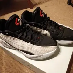 NIKE Luka4 PF Gone Ranching 25cm 美品 - メルカリ