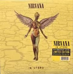 Nirvana In Utero 30thAnniversary Edition