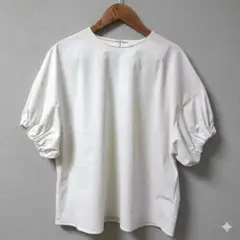 Ballsey ラッシュストレッチ ギャザースリーブ ブラウスのサムネイル