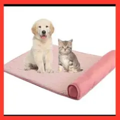 Item thumbnail for item fc3a6d58-edac-40c6-8c1d-3bc5752e9d67