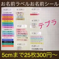 お名前ラベル お名前シール おなまえラベル おなまえシール 受付中 テプラ 防水