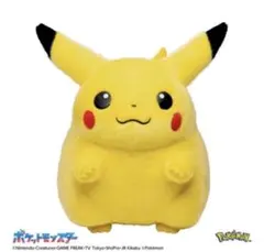 ポケモン30周年記念 おかえり!ピカチュウ1/1 ぬいぐるみ