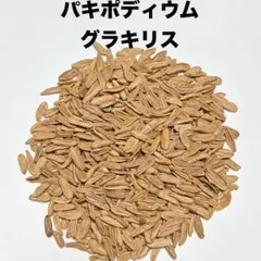 すーさん様 リクエスト 2点 まとめ商品