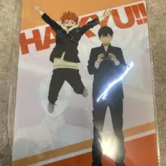 ハイキュー‼︎ アニメ原画展 クリアファイル ブロマイド 日向翔陽 影山飛雄