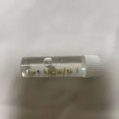 土肥金山 純金粒 砂金 50粒 B - メルカリ