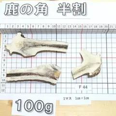 鹿の角 半割 F44 100g 番号 兵庫県産 鹿角 鹿のツノ しかつののサムネイル
