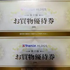 ヤマダ電機株主優待券10000円【匿名配送】