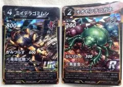 蟲神器 滋賀県プロモ ミイデラゴミムシ2枚セット 虫神器 - メルカリ