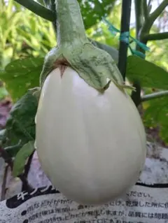 ゆかゆか様 リクエスト 3点 まとめ商品