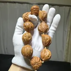 Item thumbnail for item 51d99239-1085-4223-9227-a791e8be7fa3