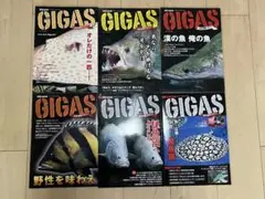GIGAS 魚類専門雑誌 セット GIGAS 魚類専門雑誌 セット - メルカリ