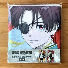 WIND BREAKER ウィンドブレイカー ビジュアルBIGタオル 蘇枋隼飛