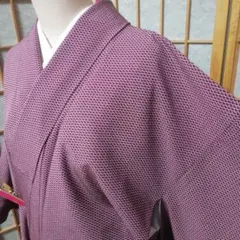 撫松庵　洗える小紋袷裄66cm　お洒落な花柄八掛のサムネイル