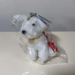 Item thumbnail for item 717db252-5175-4daf-bfa1-75c0e20a5c7e