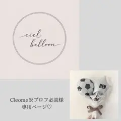 Item thumbnail for item 1d3f1065-9a03-43ad-b2cb-415d1ffde937