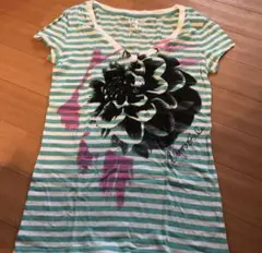 Aeropostale ボーダー Tシャツ M