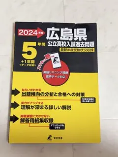 Item thumbnail for item 8efb6934-c575-4175-8e9d-42d663989ef6