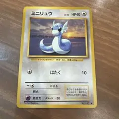 旧裏　ミニリュウ ◆ 第1弾拡張パック　状態良好